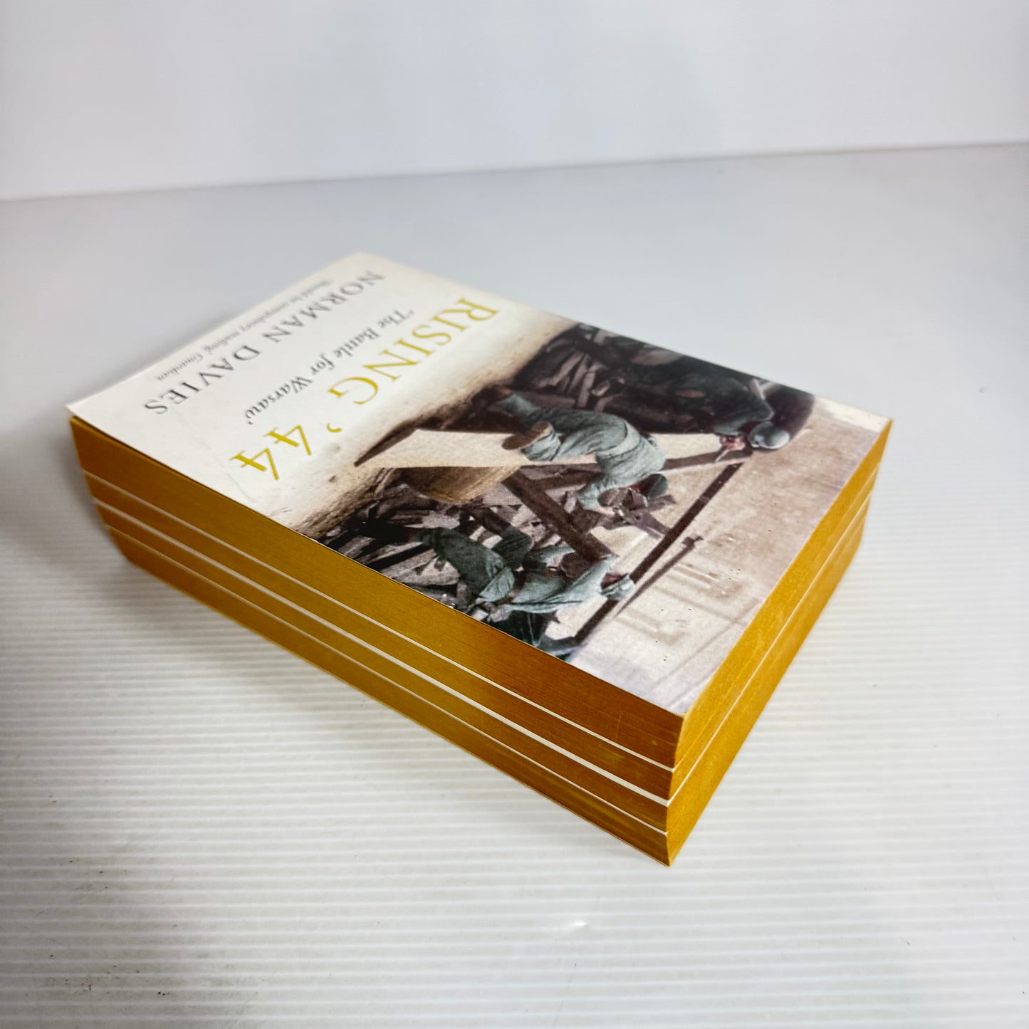 Rising '44 : The Battle for Warsaw' - Norman Davies