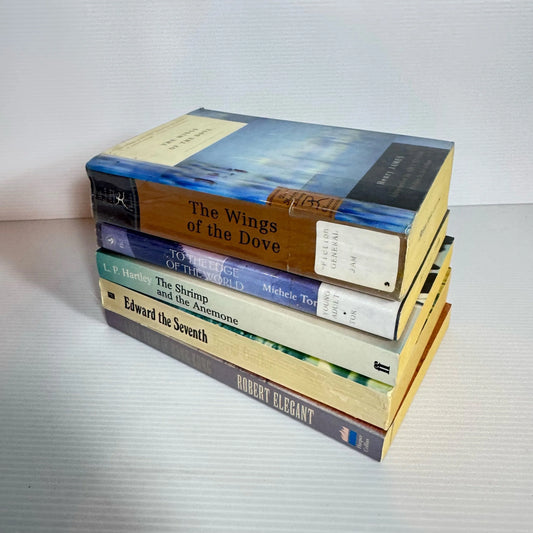 Historical Fiction Book Bundle x 5 Books Various Authors (2036)