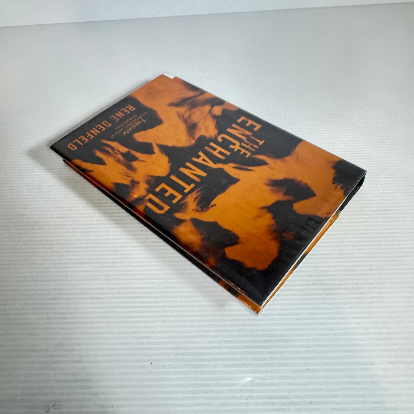 The Enchanted - Rene Denfeld