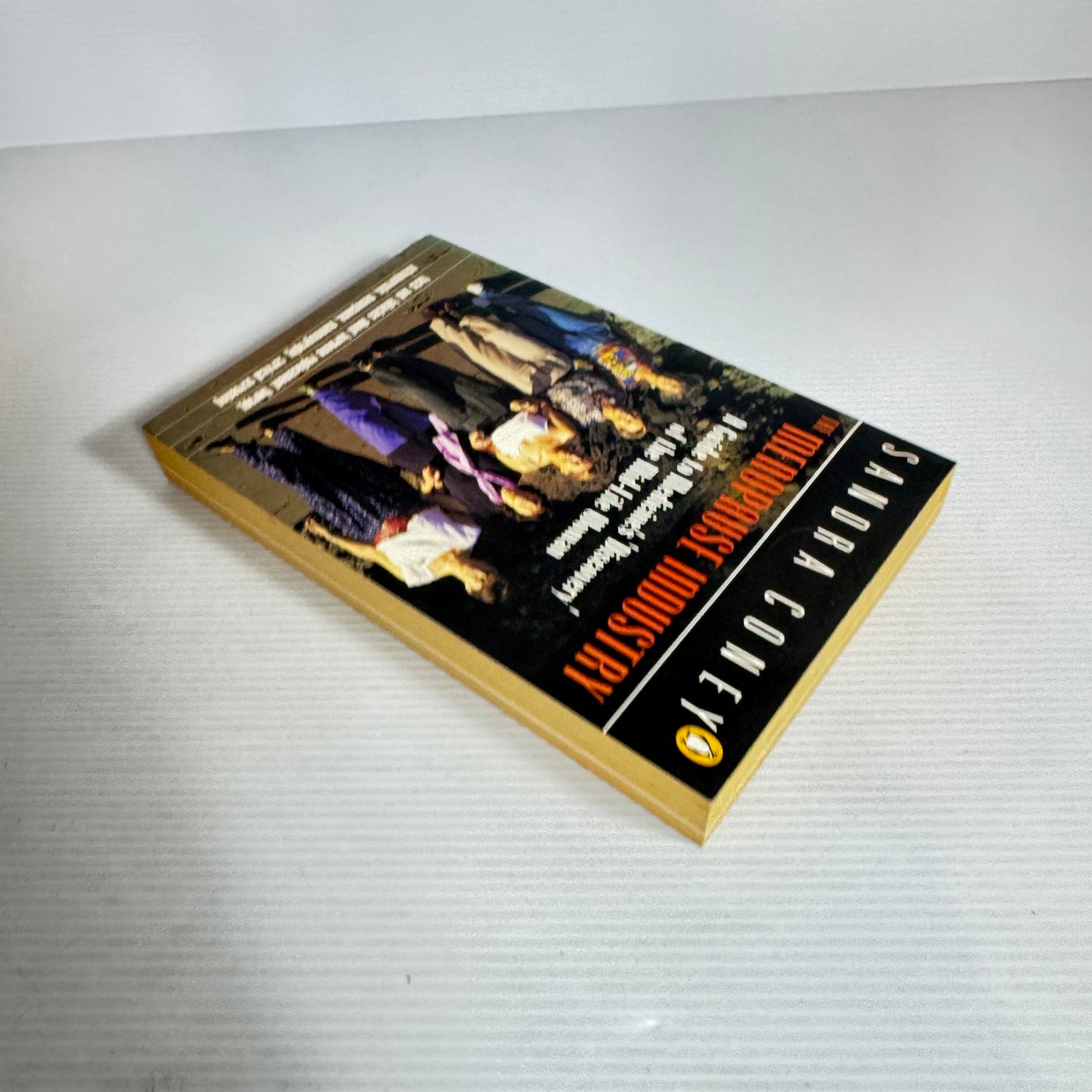 The Menopause Industry : A Guide to Medicine's 'Discovery' of the Mid-Life Woman - Sandra Coney