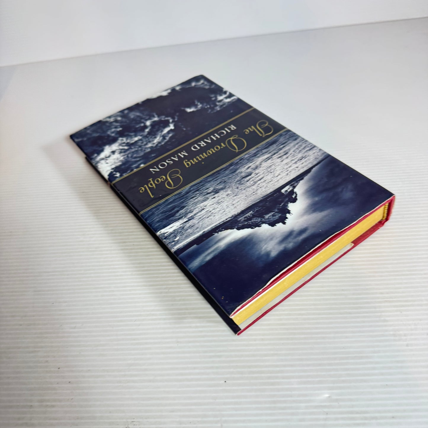 The Drowning People - Richard Mason