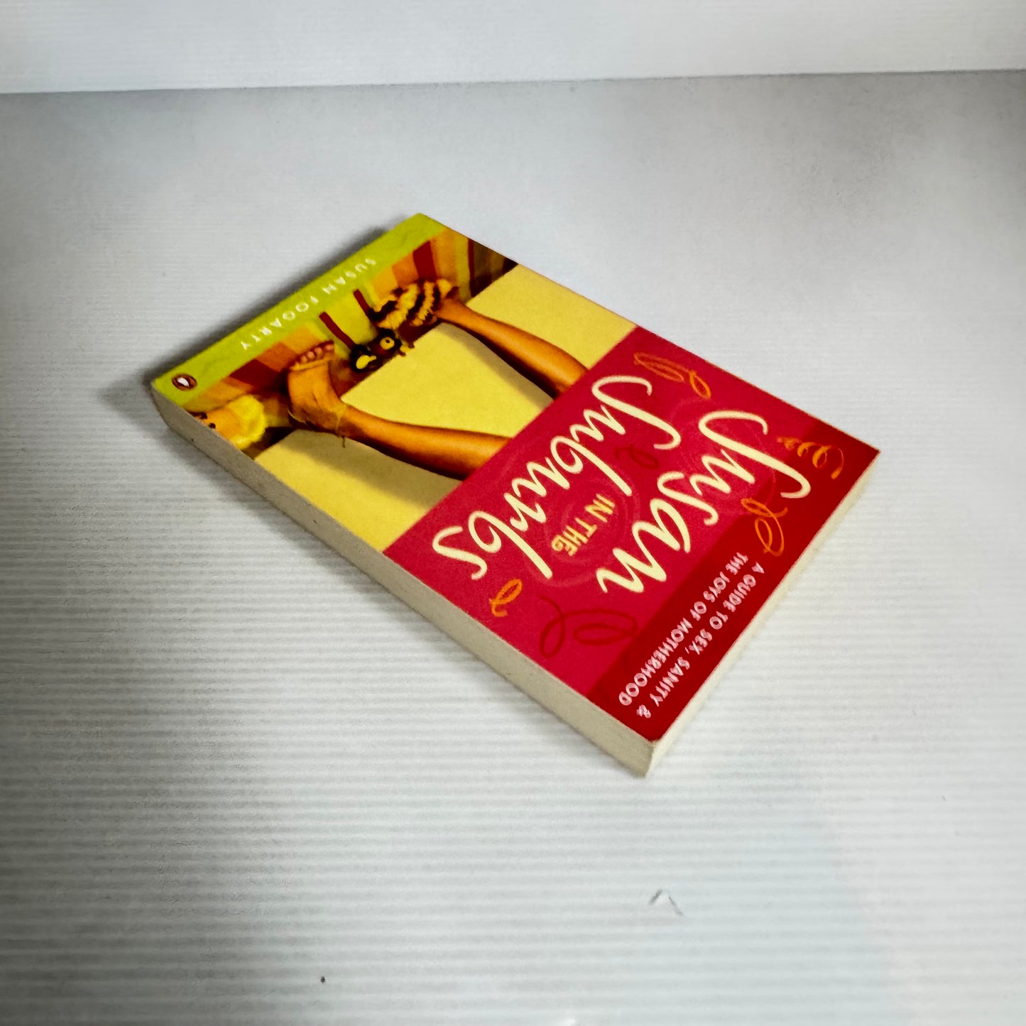 Susan In The Suburbs - Susan Fogarty