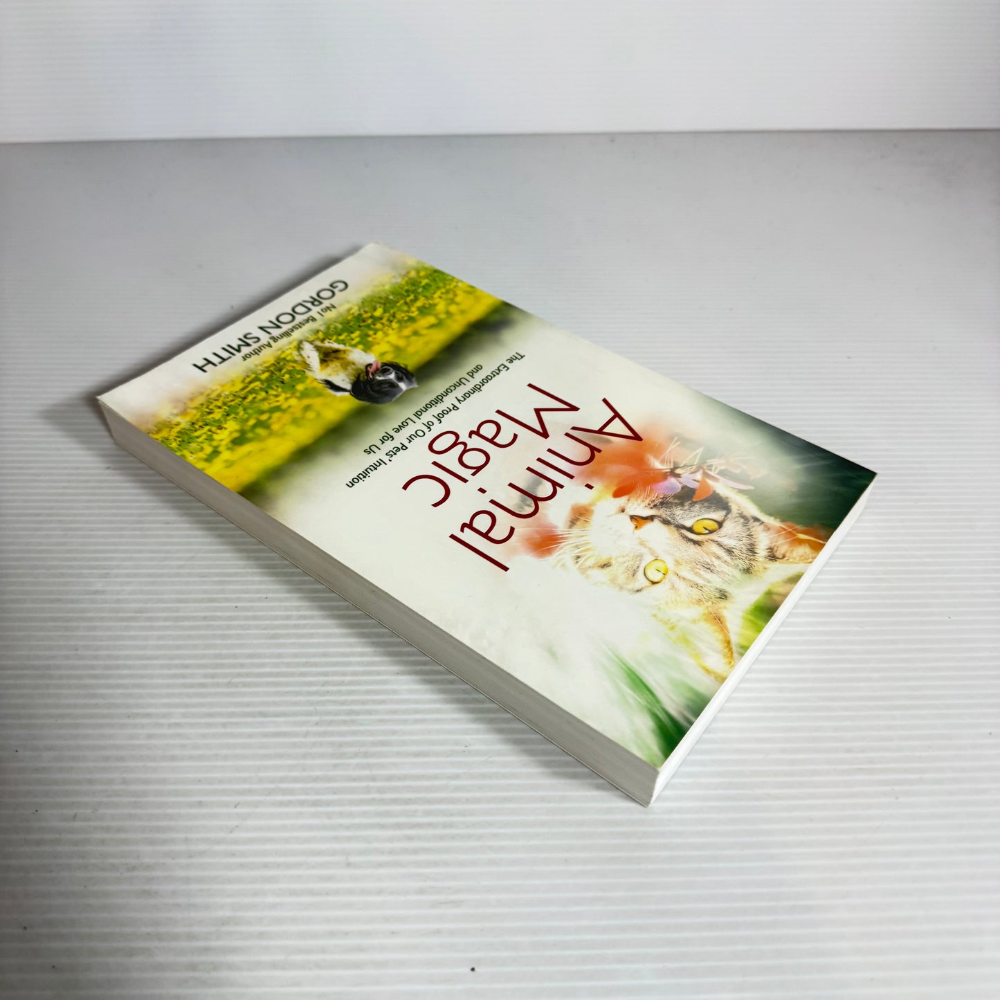 Animal Magic : The Extraordinary Proof of Our Pets' Intuition and Unconditional Love for Us - Gordon Smith