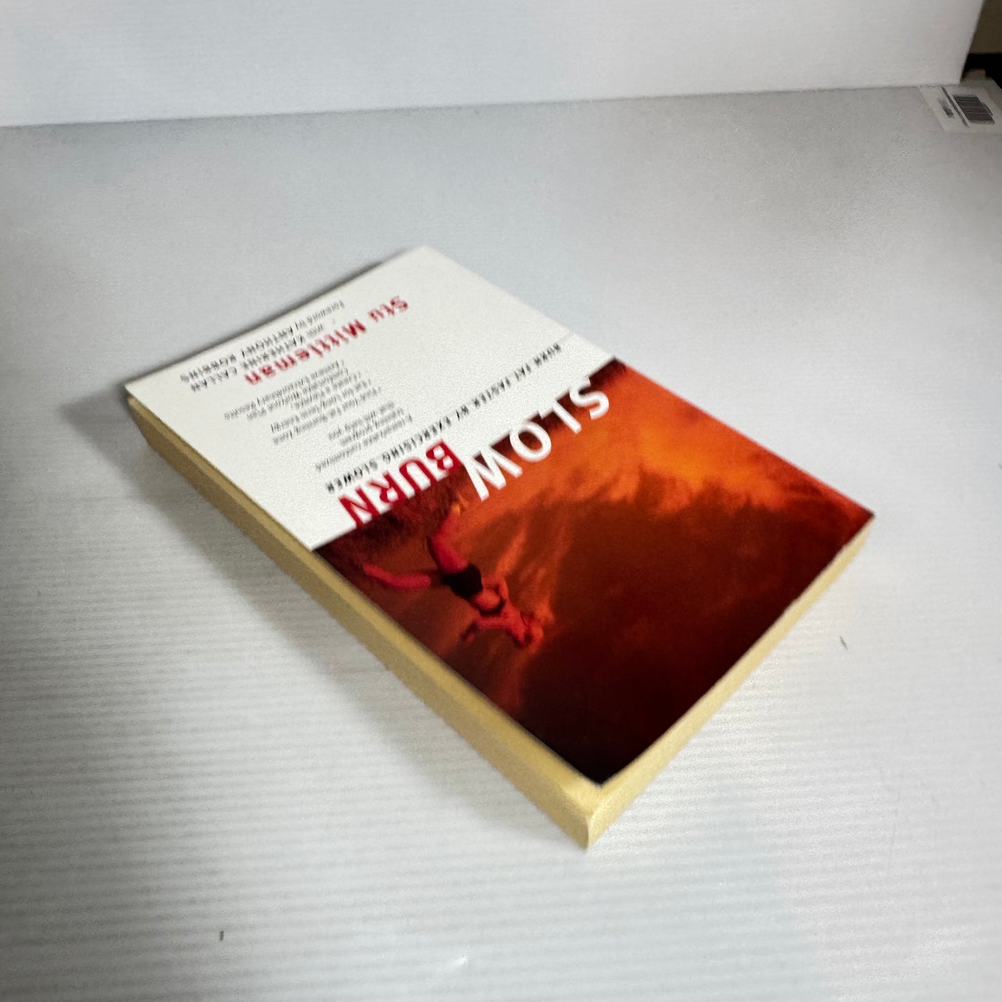 Slow Burn : Burn Fat Faster By Exercising Slower - Stu Mittleman