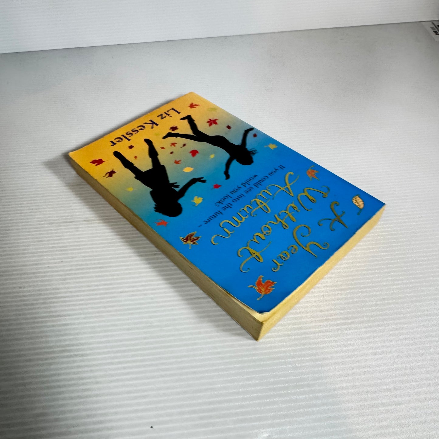 A Year Without Autumn - Liz Kessler