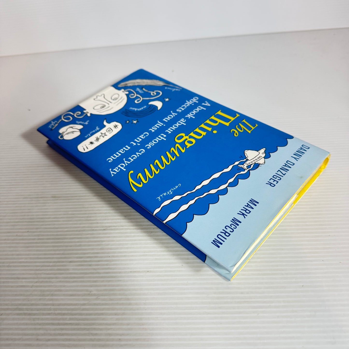 The Thingummy : A Book About Those Everyday Objects You Just Can't Name - Danny Danziger & Mark McCrum