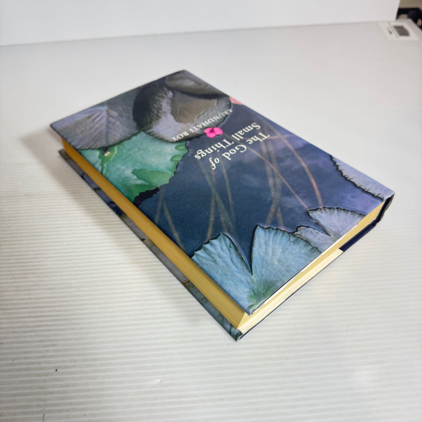 The God of Small Things - Arundhati Roy (Vintage 1997)