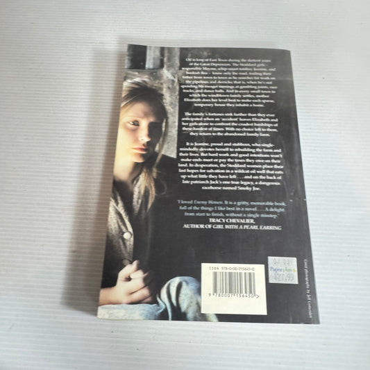 Stormy Weather - Paulette Jiles