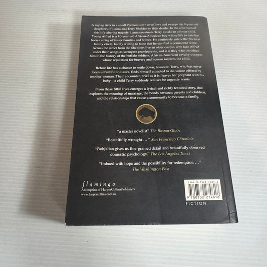 The Buffalo Soldier - Chris Bohjalian