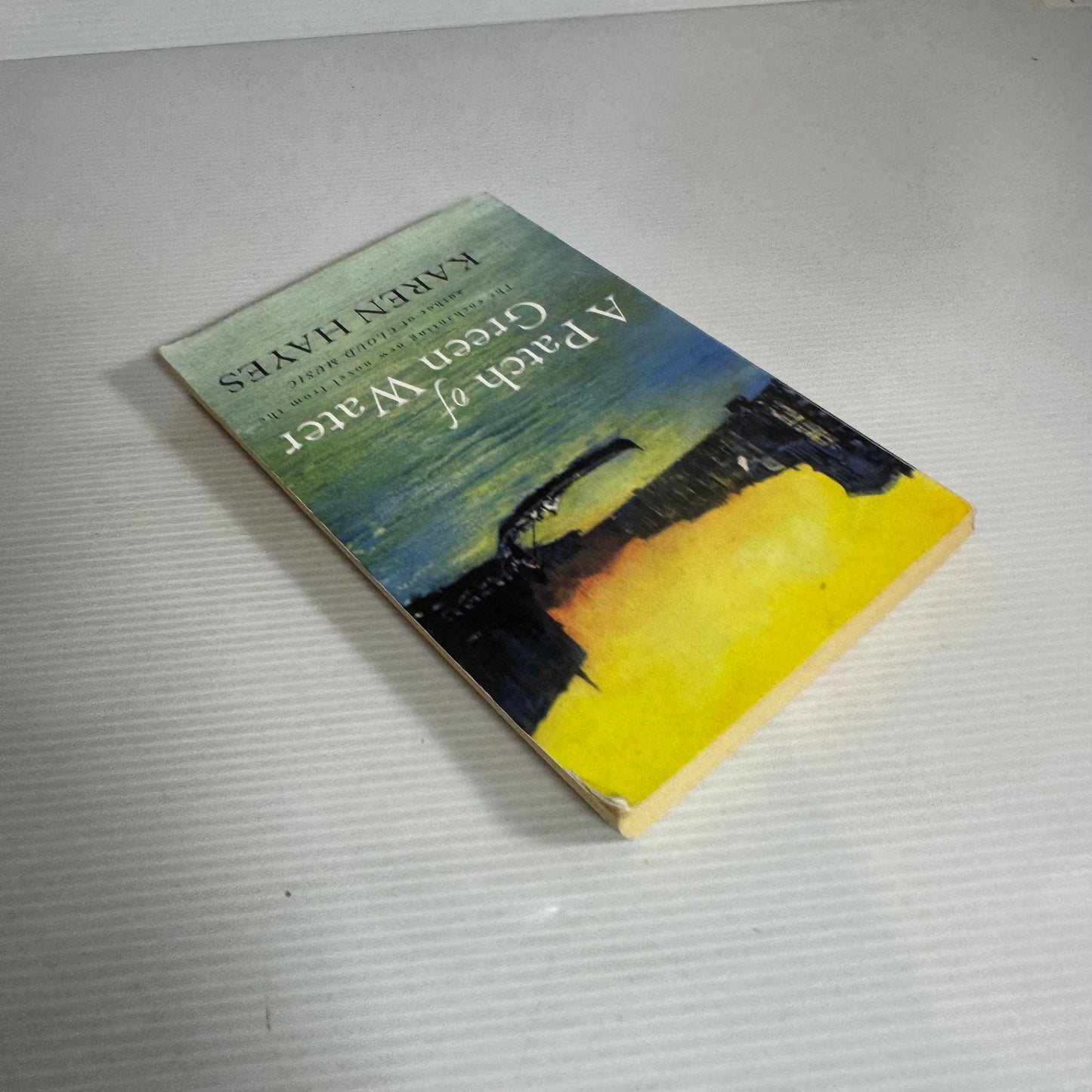 A Patch Of Green Water - Karen Hayes