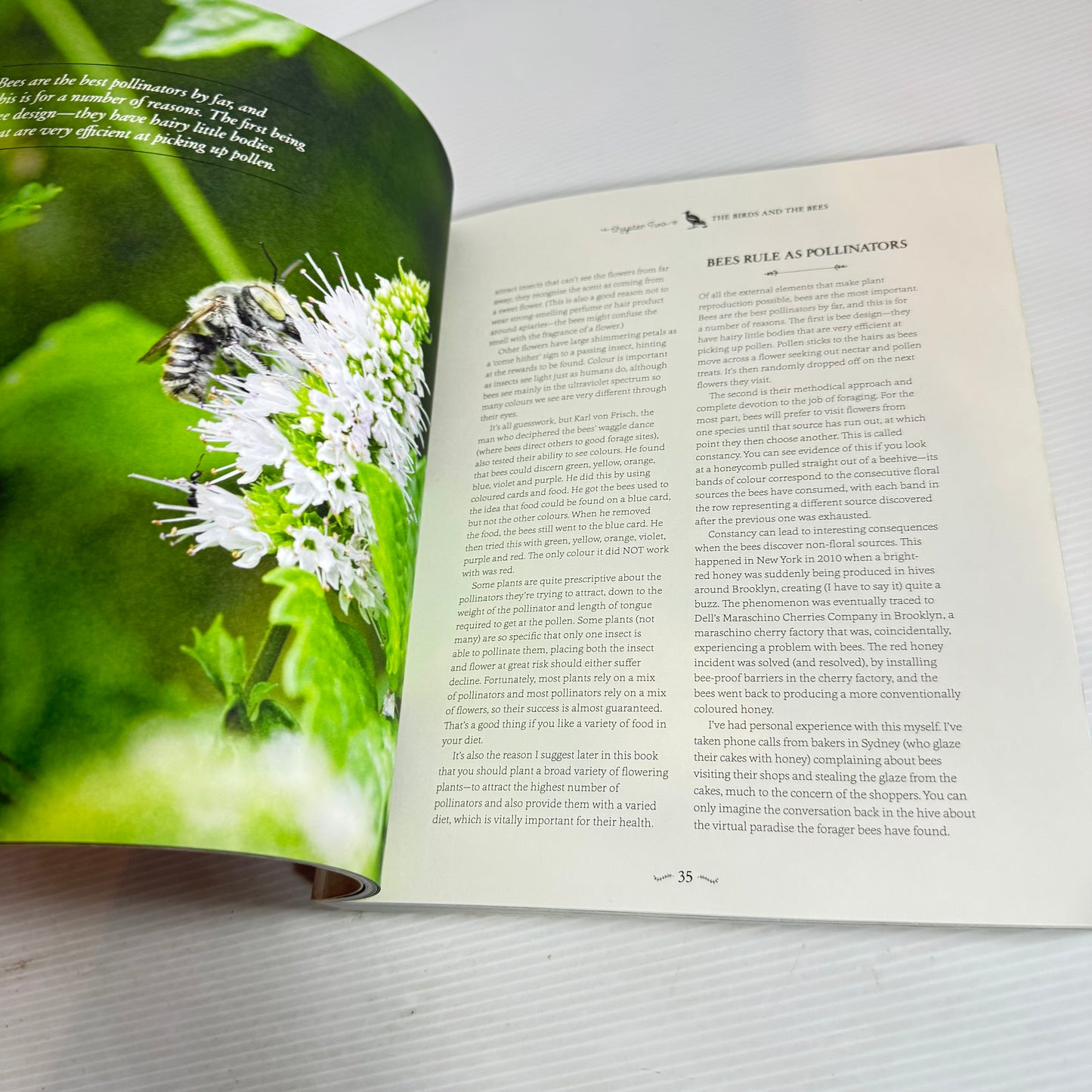 The Bee Friendly Garden - Doug Purdie
