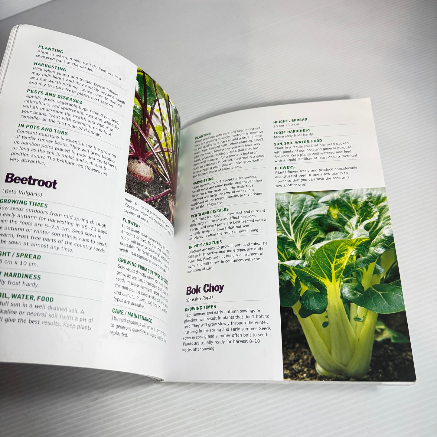 Growing Vegetables Year-Round - Dennis Greville