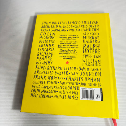 Oh Boy! : A Story Book of Epic NZ Men - Stuart Lipshaw