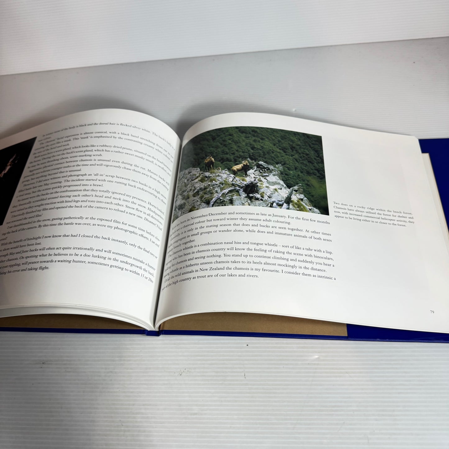 Game Animals of New Zealand : A Portfolio - Gordon Roberts