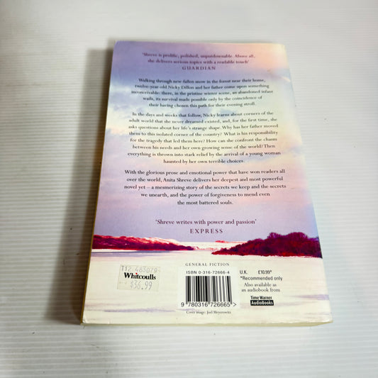 Light On Snow - Anita Shreve