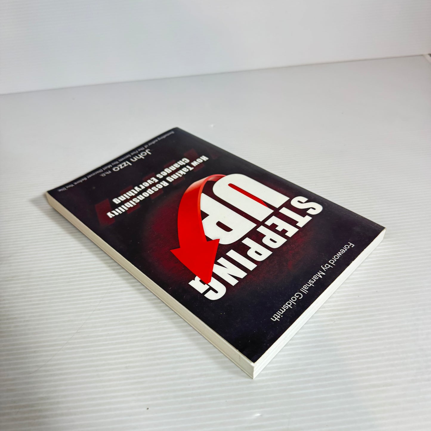 Stepping Up: How Taking Responsibility Changes Everything - John Lzzo