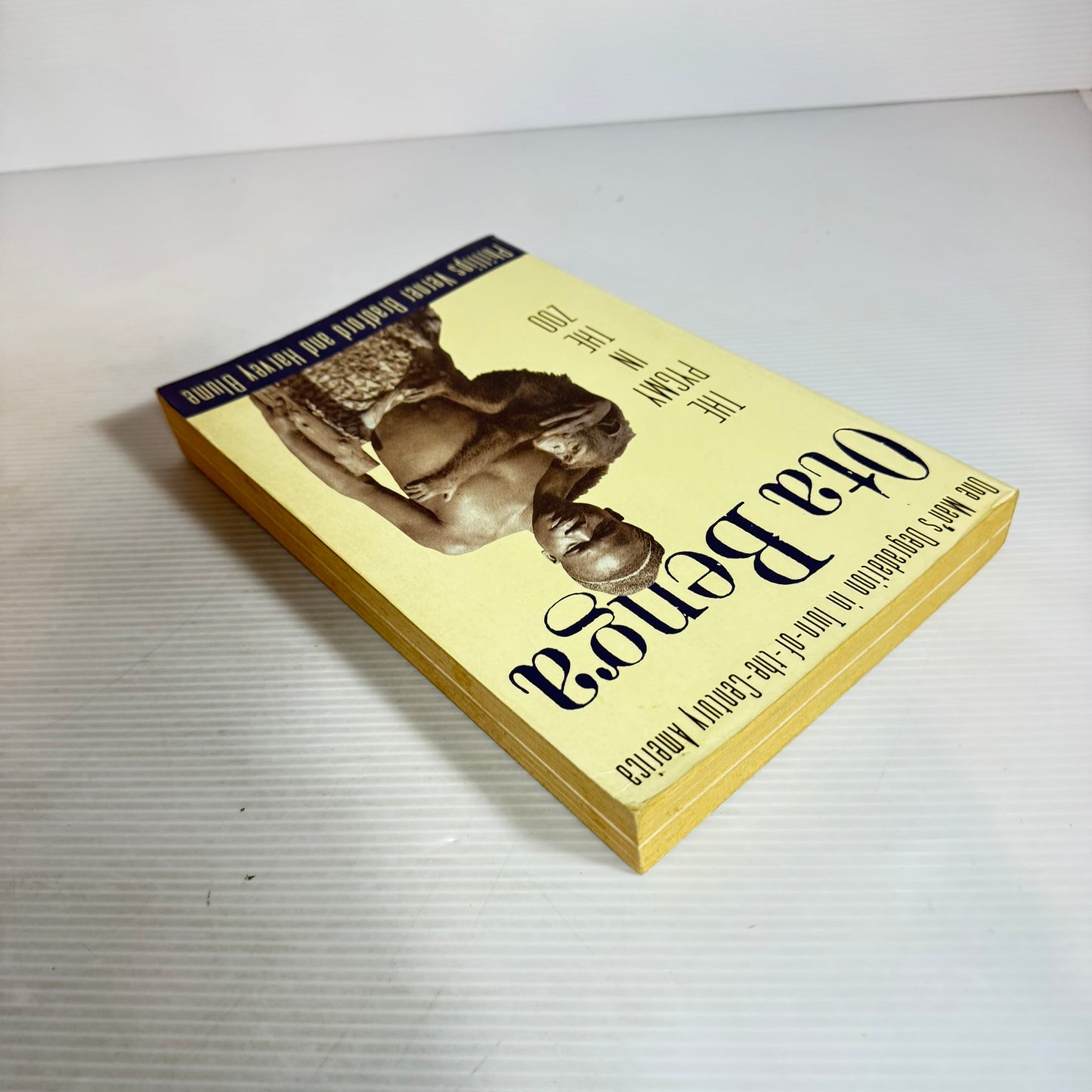 Ota Benga: The Pygmy In The Zoo - Phillips Verner Bradford And Harvey Blume