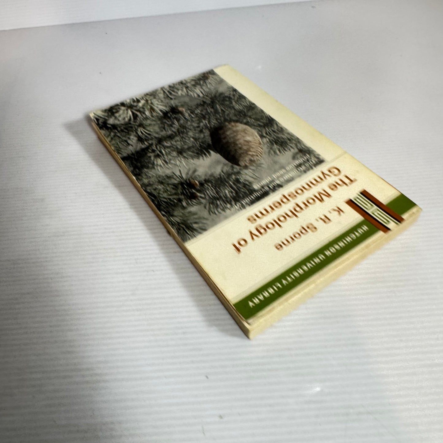 The Morphology of Gymnosperms : Hutchinson University Library - K.R . Sporne