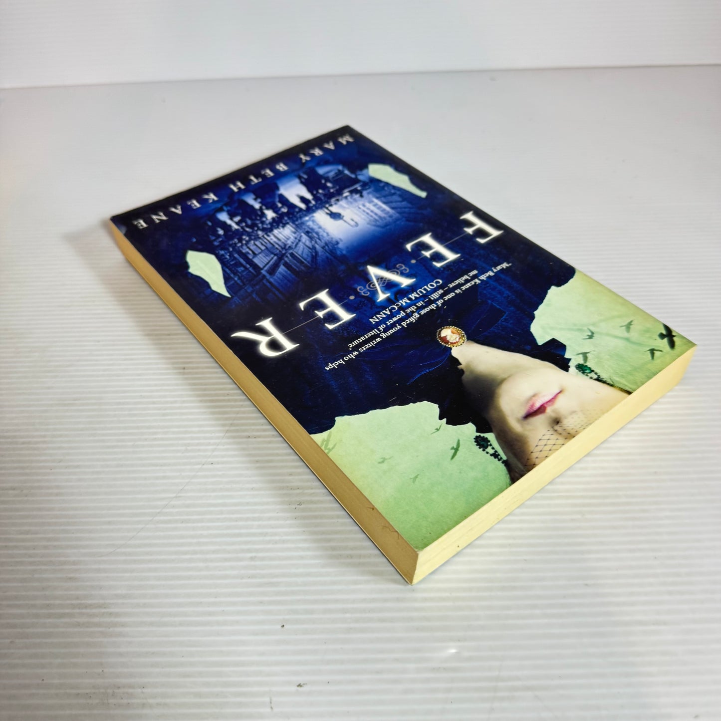 Fever - Mary Beth Keane