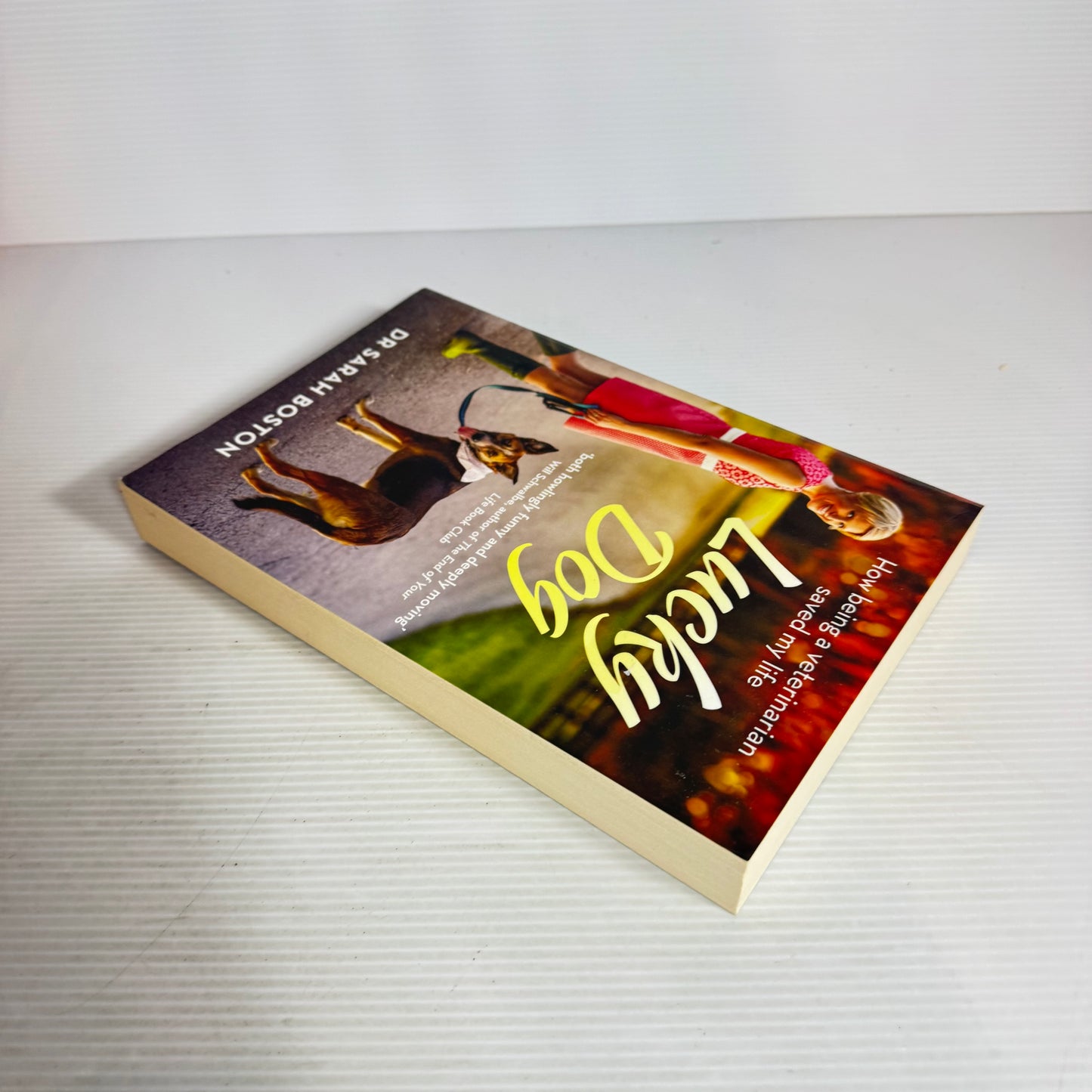 Lucky Dog - Dr Sarah Boston