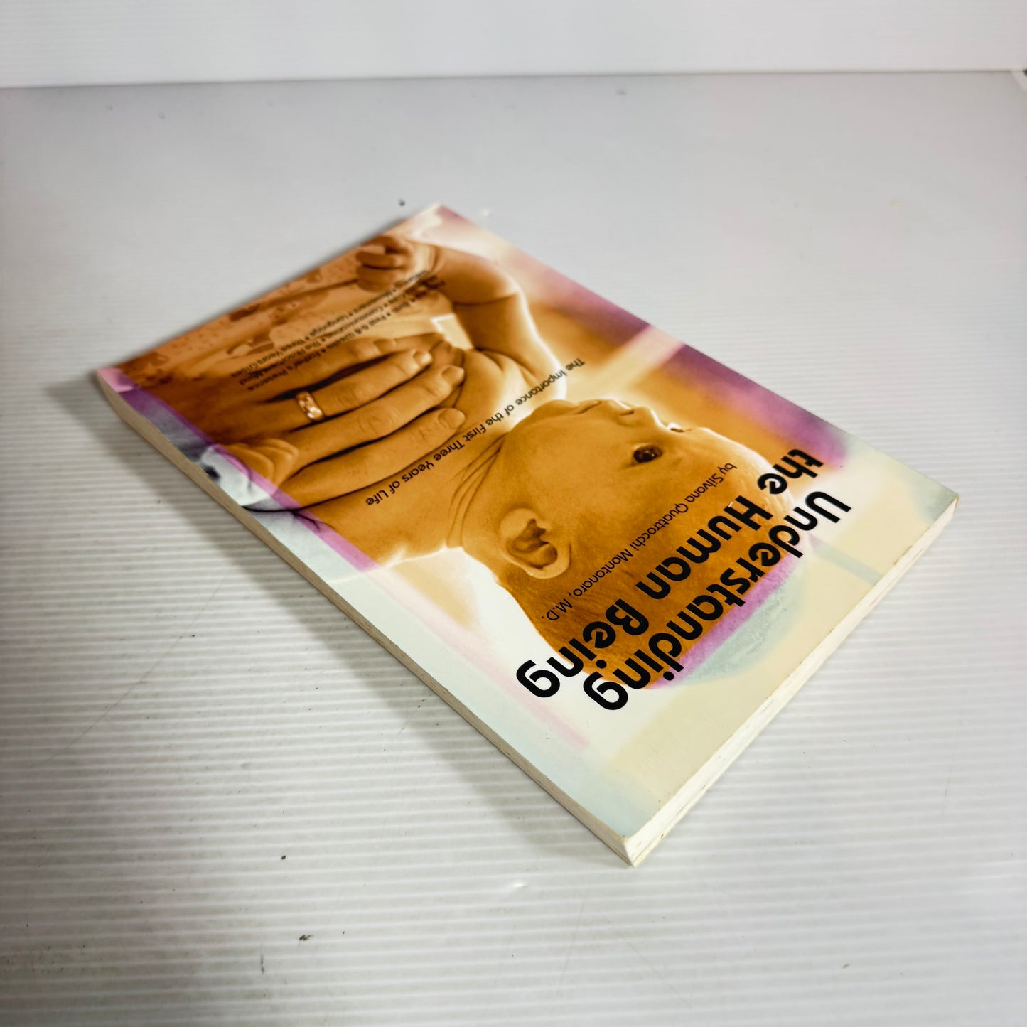 Understanding the Human Being : The Importance of the First Three Years of Life - Silvana Quattrocchi Montanaro M.D.