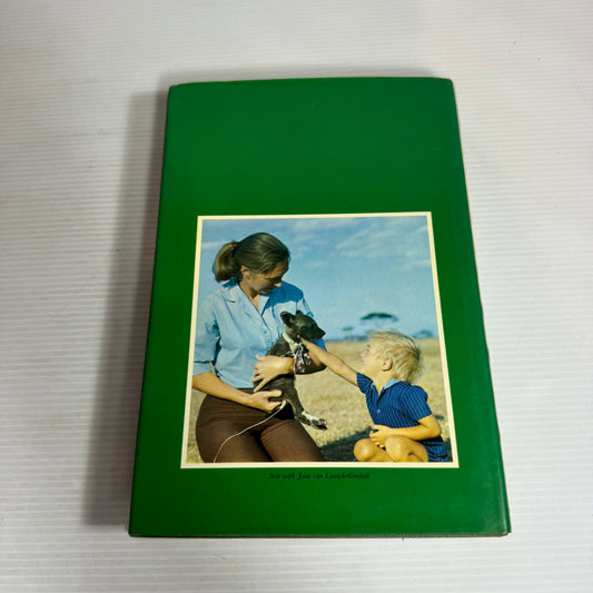 Solo: The Story Of An African Wild Dog - Hugo Van Lawick