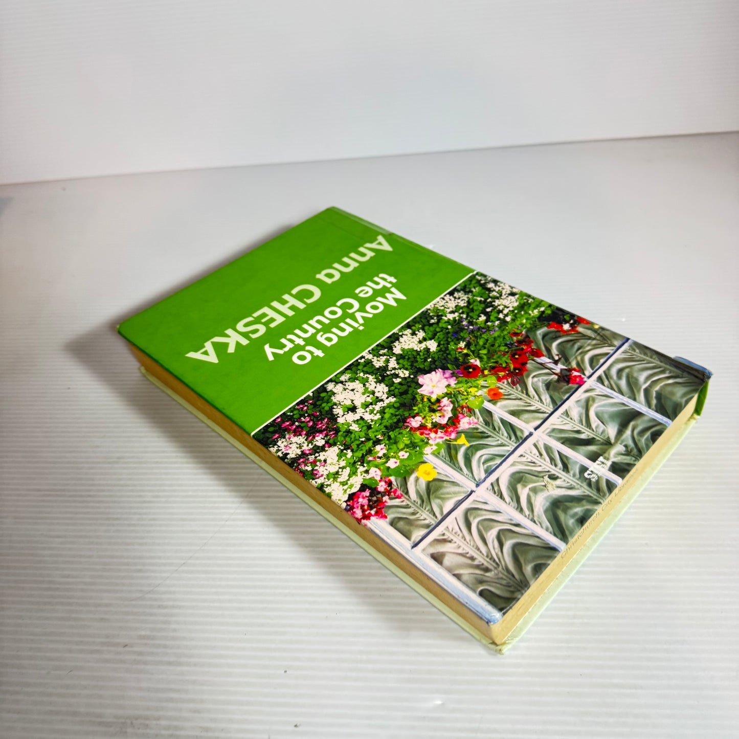 Moving to the Country - Anna Cheska (LARGE PRINT)