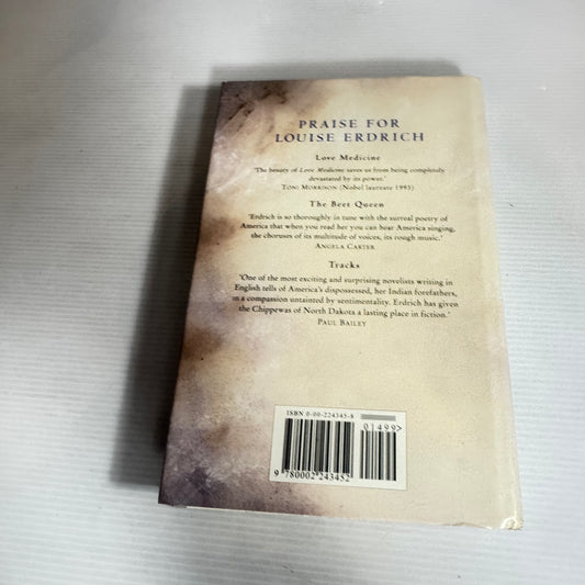 The Bingo Palace - Louise Erdrich