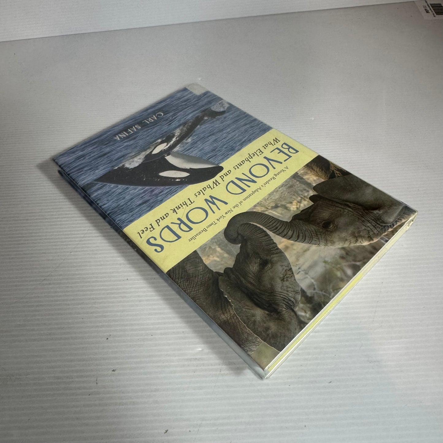 Beyond Words : What Elephants and Whales Think and Feel - Carl Safina