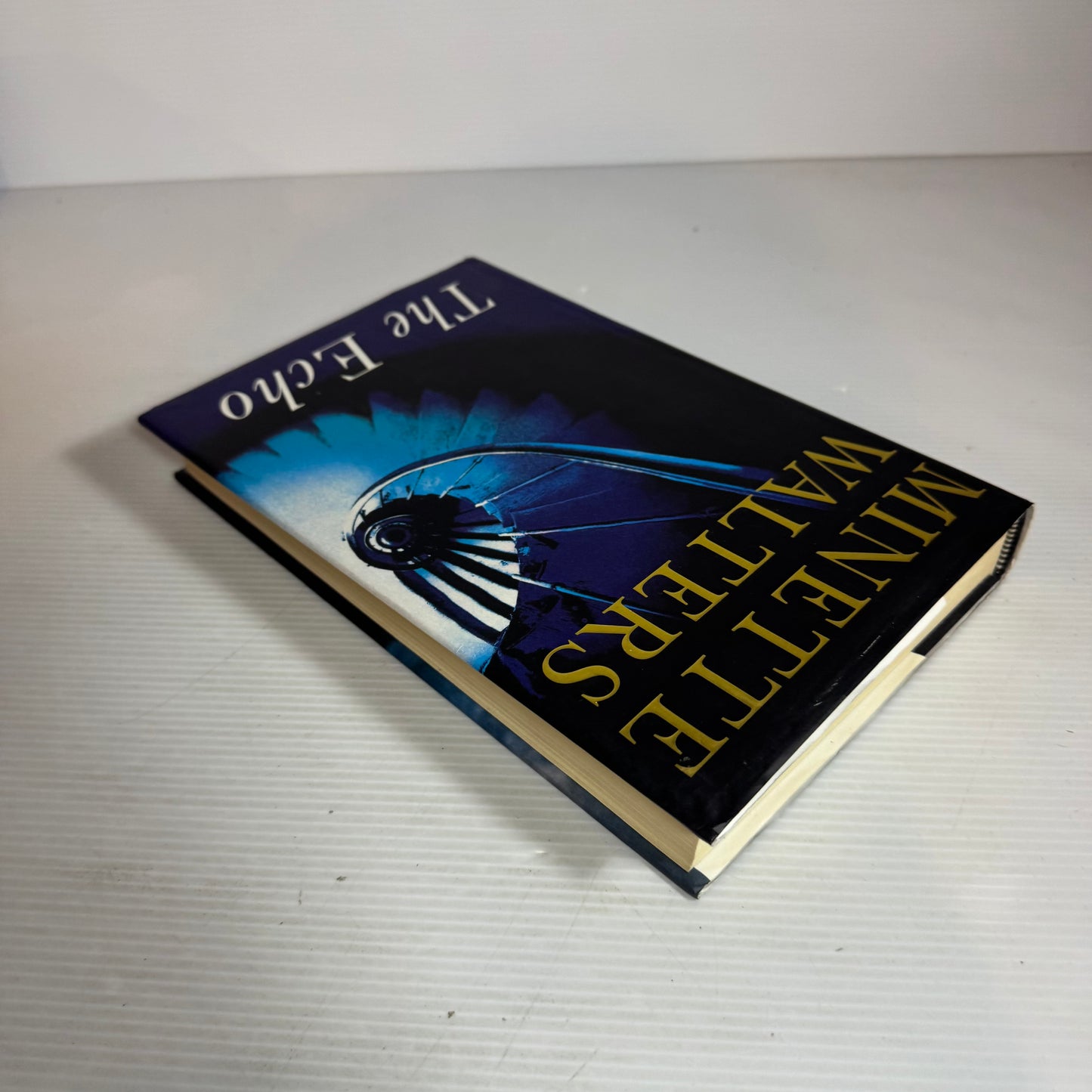 The Echo - Minette Walters