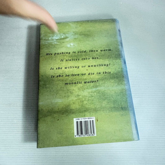 The Drowner - Robert Drewe