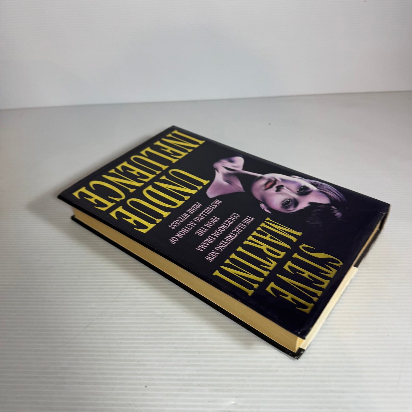 Undue Influence - Steve Martini