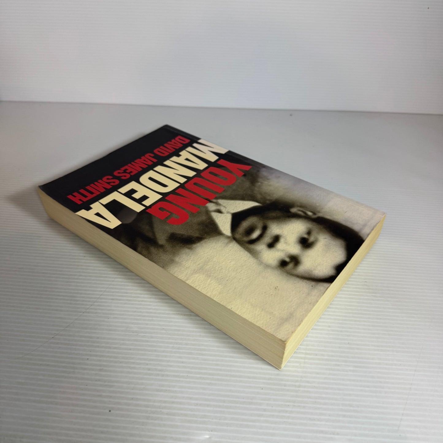 Young Mandela - David James Smith