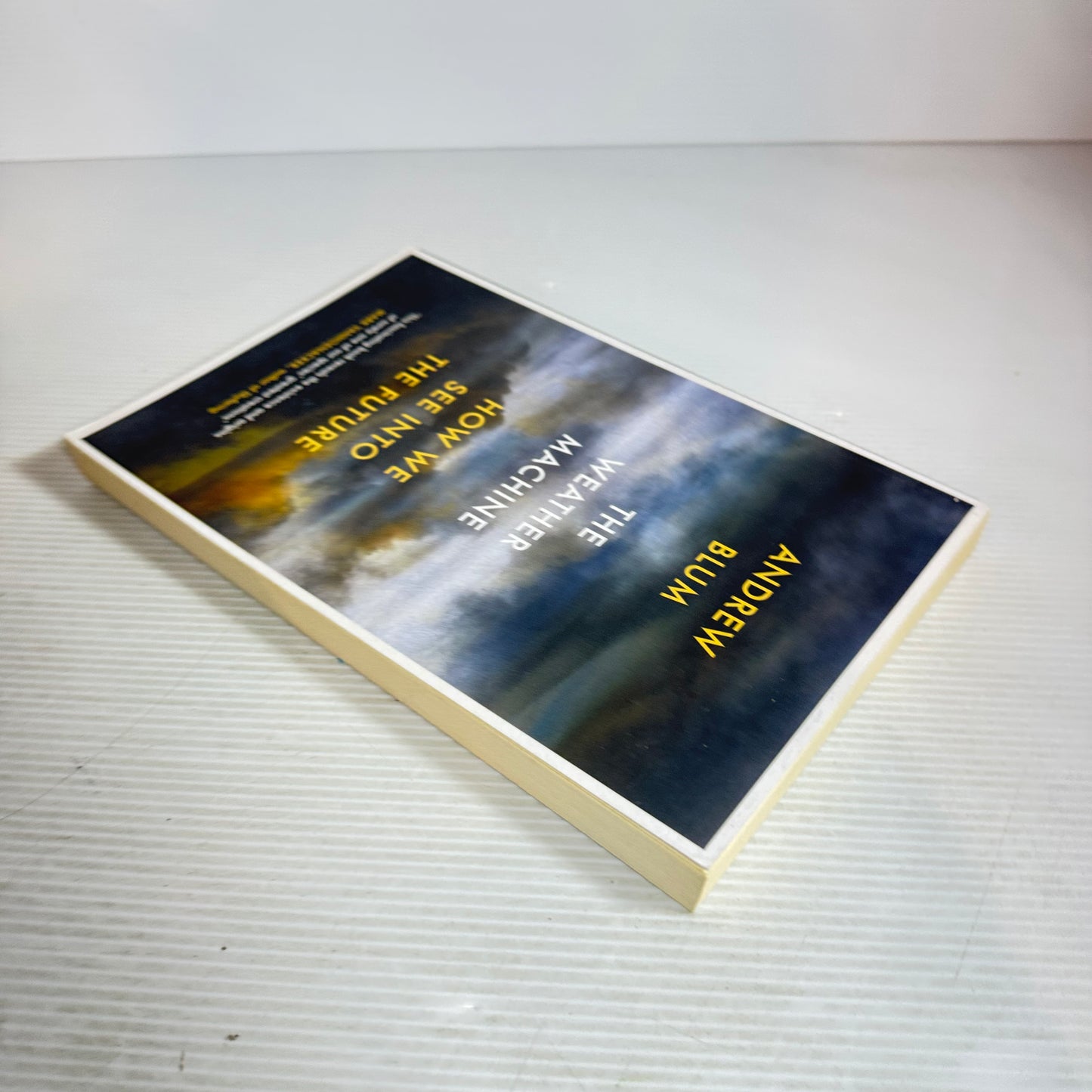 The Weather Machine : How We See Into the Future - Andrew Blum