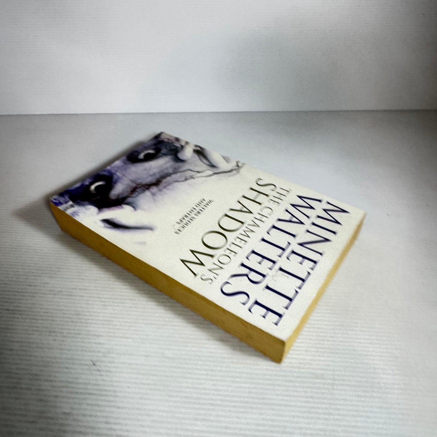 The Chameleon's Shadow - Minette Walters