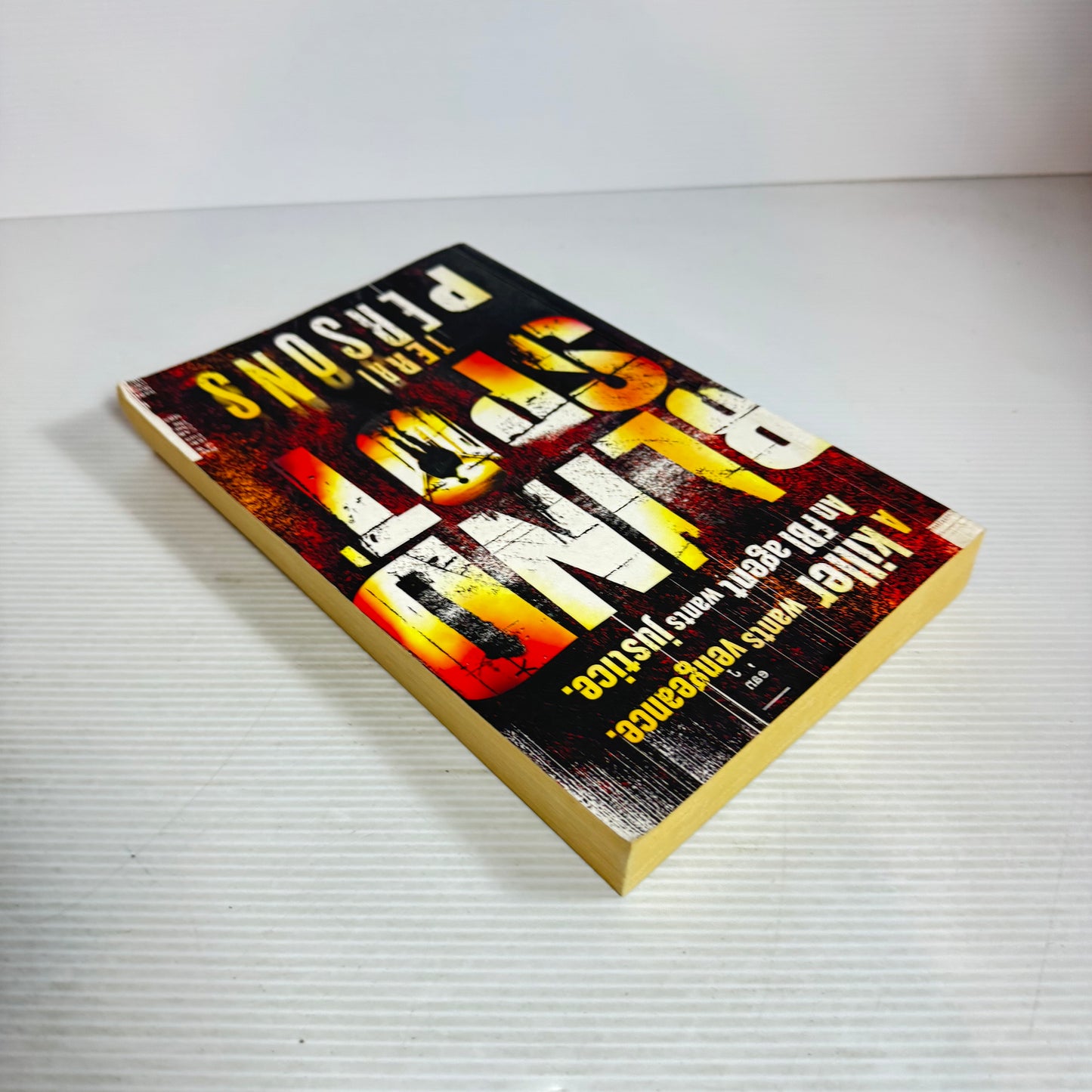 Blind Spot - Terri Persons