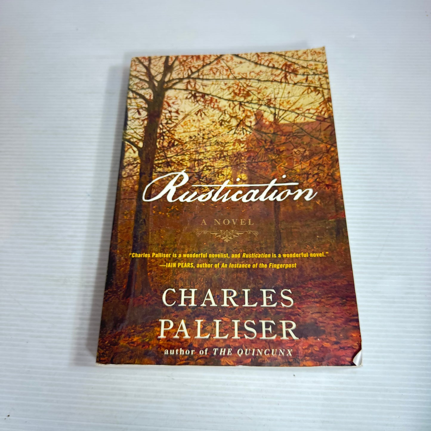 Rustication - Charles Palliser