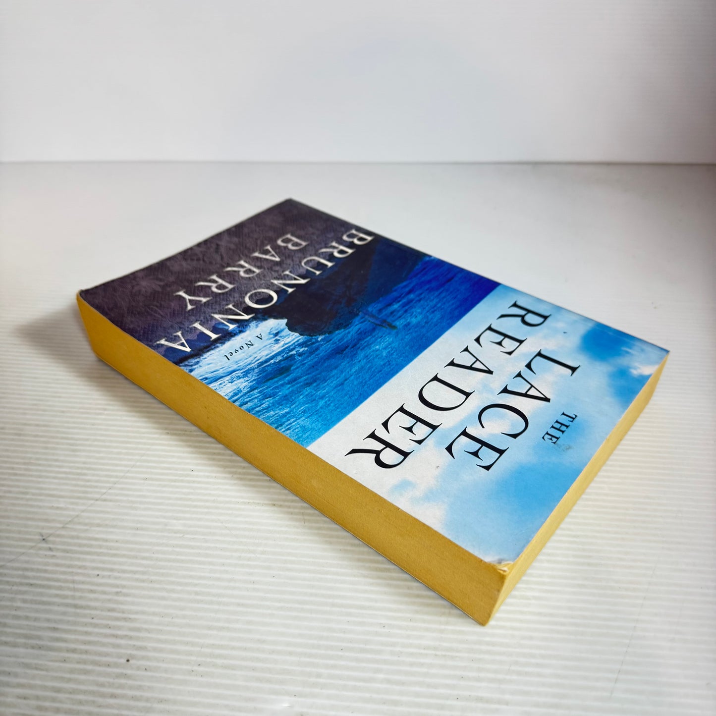 The Lace Reader - Brunonia Barry