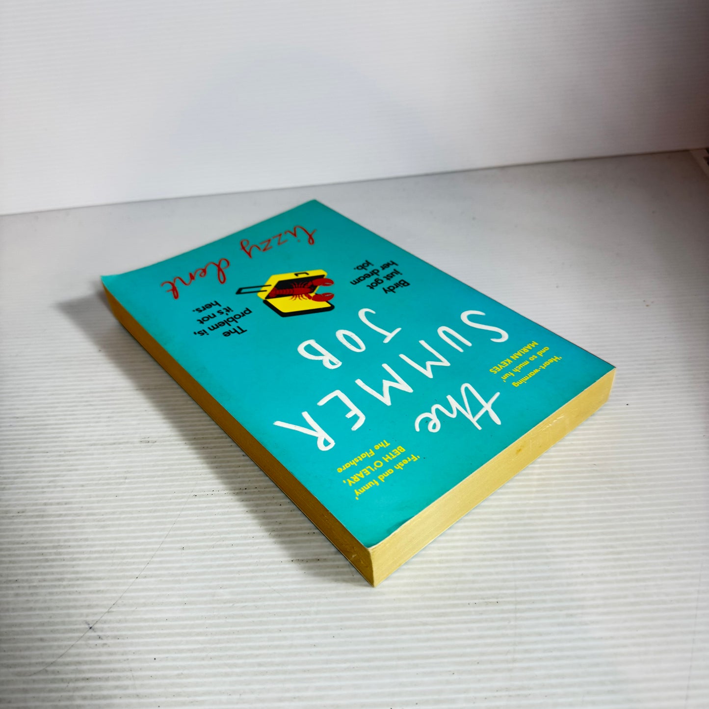 The Summer Job - Lizzy Dent