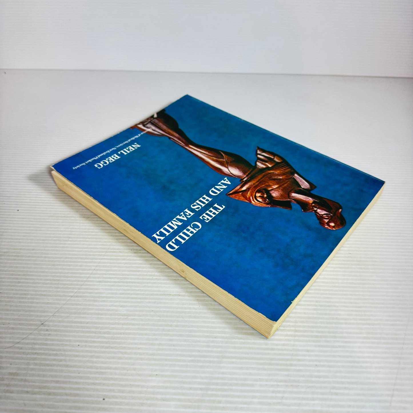 The Child and His Family - Neil Begg (Vintage 1974)