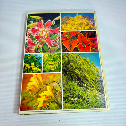 Illustrated Garden Dictionary - Barbara & Lewis Matthews (Vintage 1979)