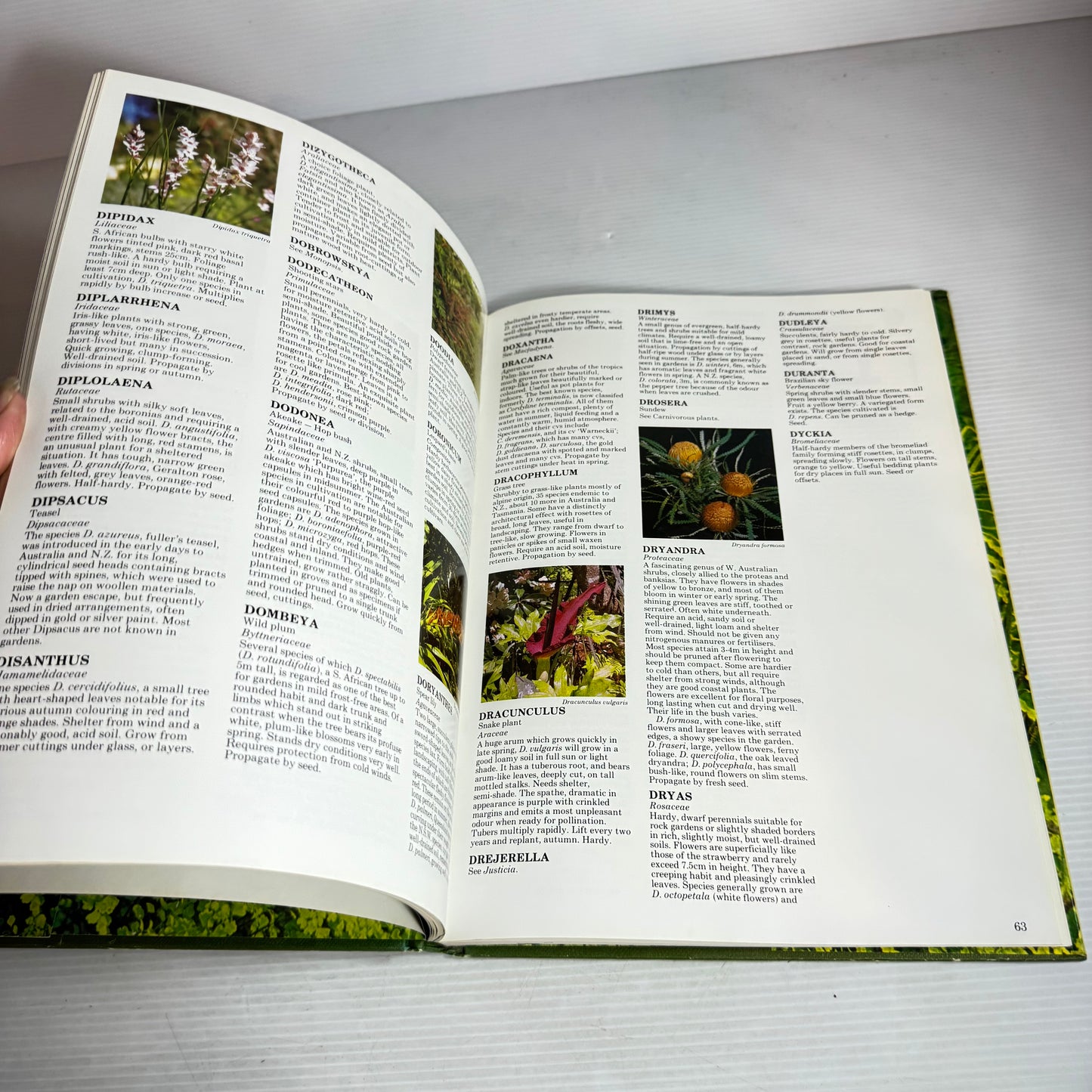 Illustrated Garden Dictionary - Barbara & Lewis Matthews (Vintage 1979)