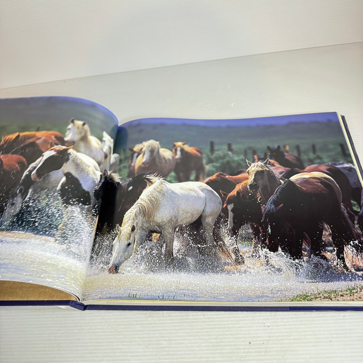 Colorado Cowboys - Christopher Marona