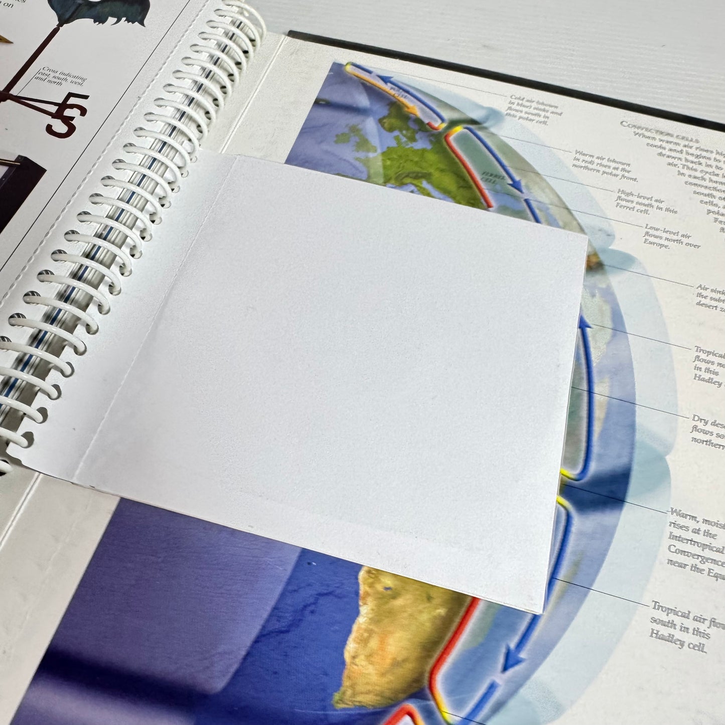 Weather - DK Eyewitness Books Includes CD (Vintage 2008)