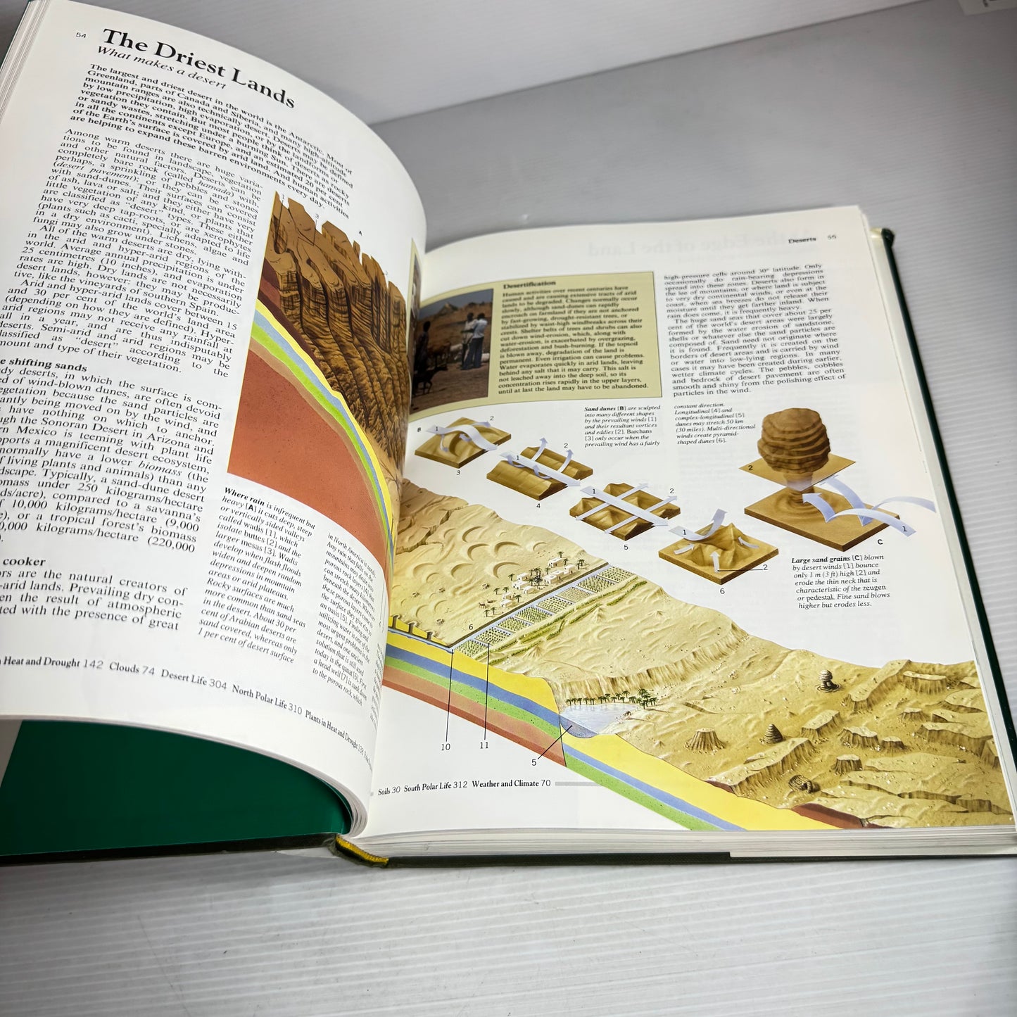The Mitchell Beazley Family Encyclopaedia of Nature (Vintage 1992)
