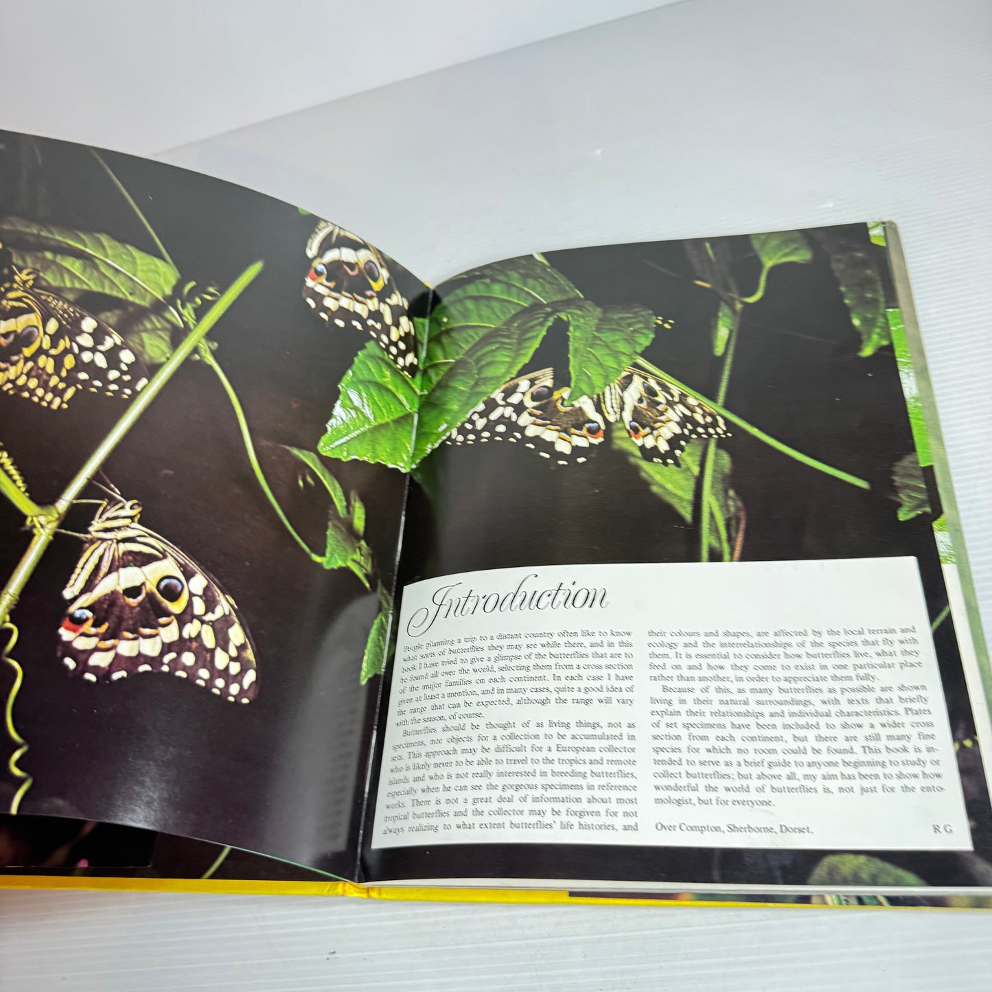 All Colour Book of Butterflies - Robert Goodden (Vintage 1973)