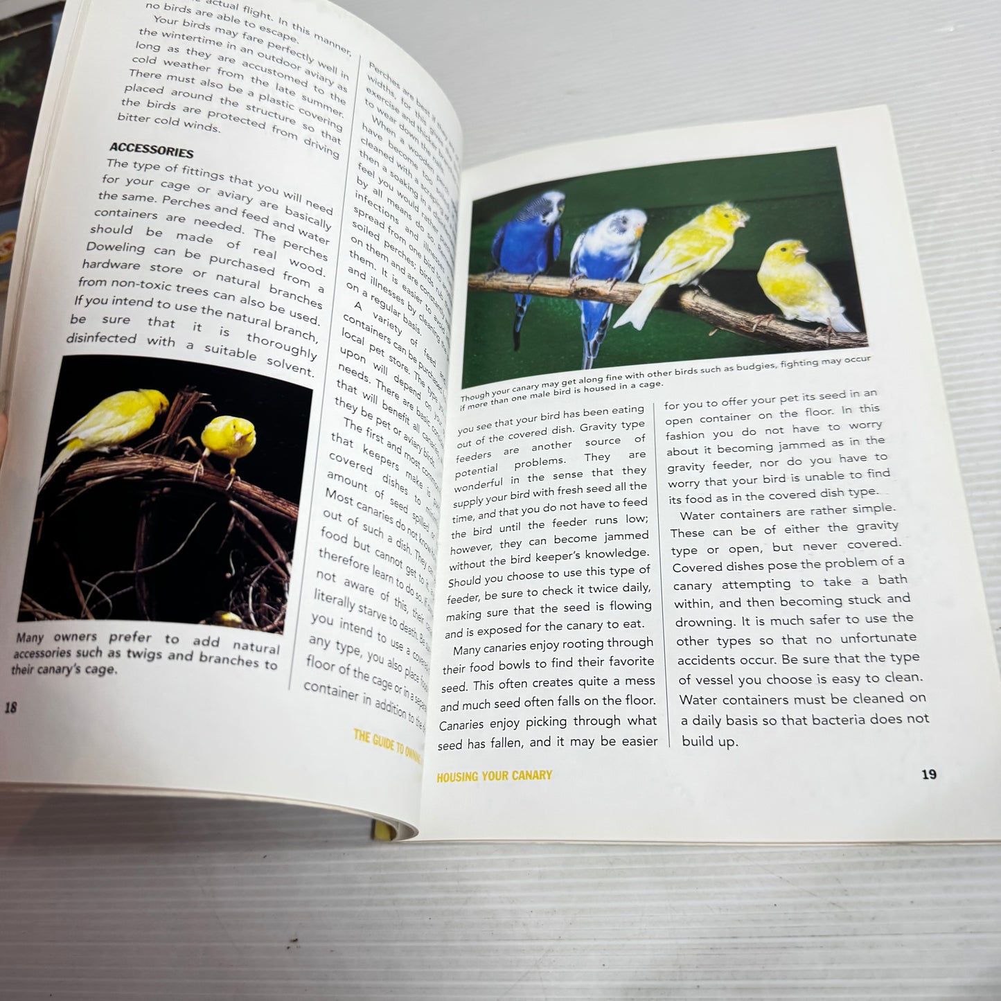 The Guide to Owning a Canary (Vintage 2003)