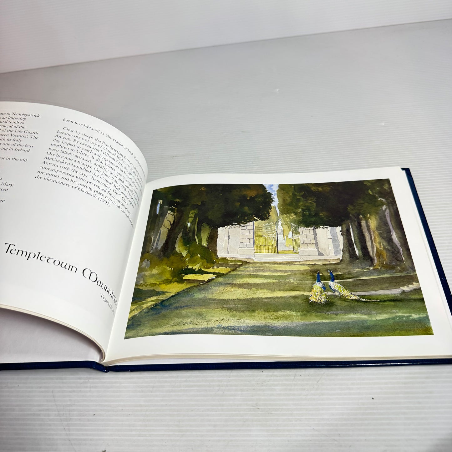Antrim, Town & Country : Paintings and Stories from the Antrim Area - Paul Holmes and Alastair Smych