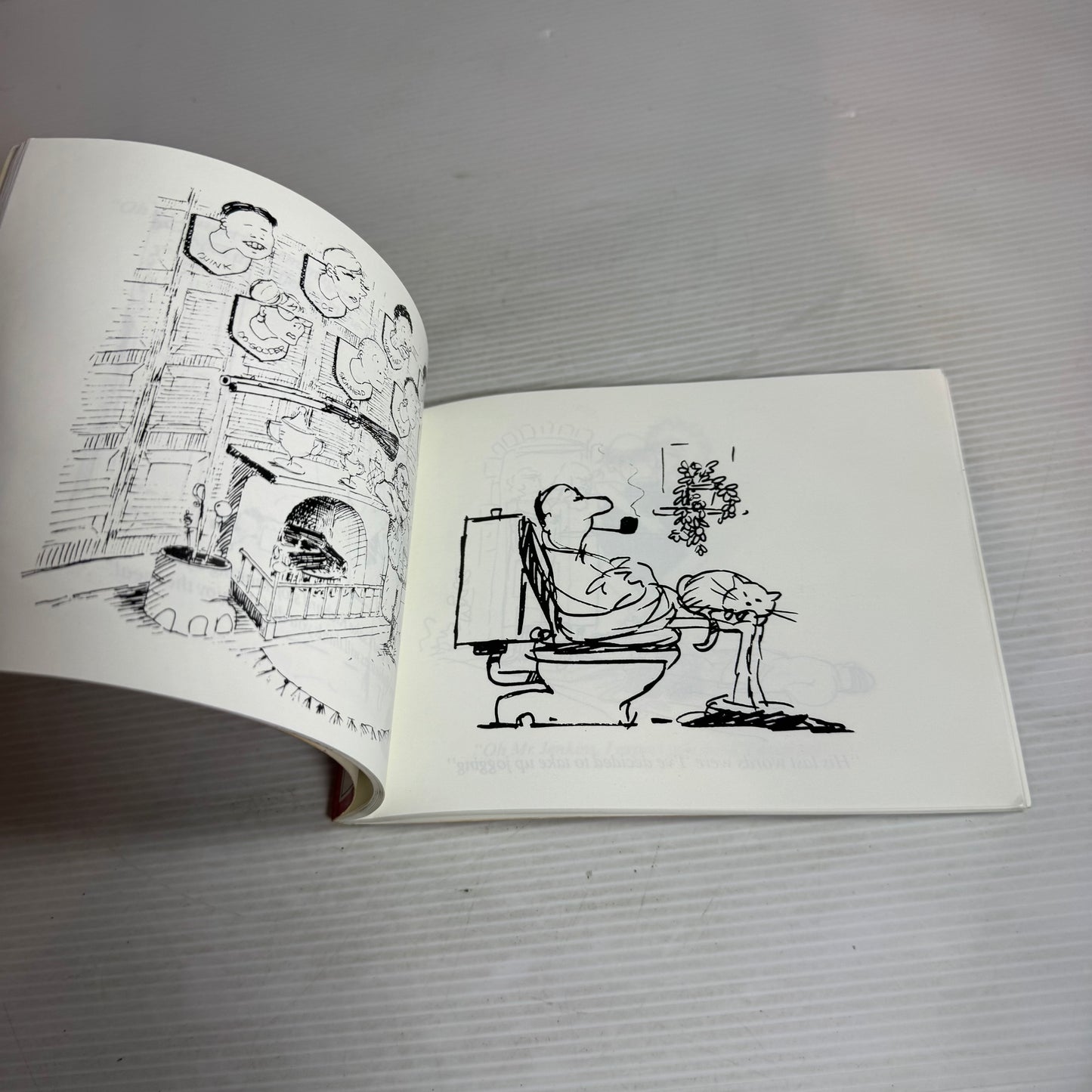 A Silvey-Jex Bad Taste Book From Beginning To End