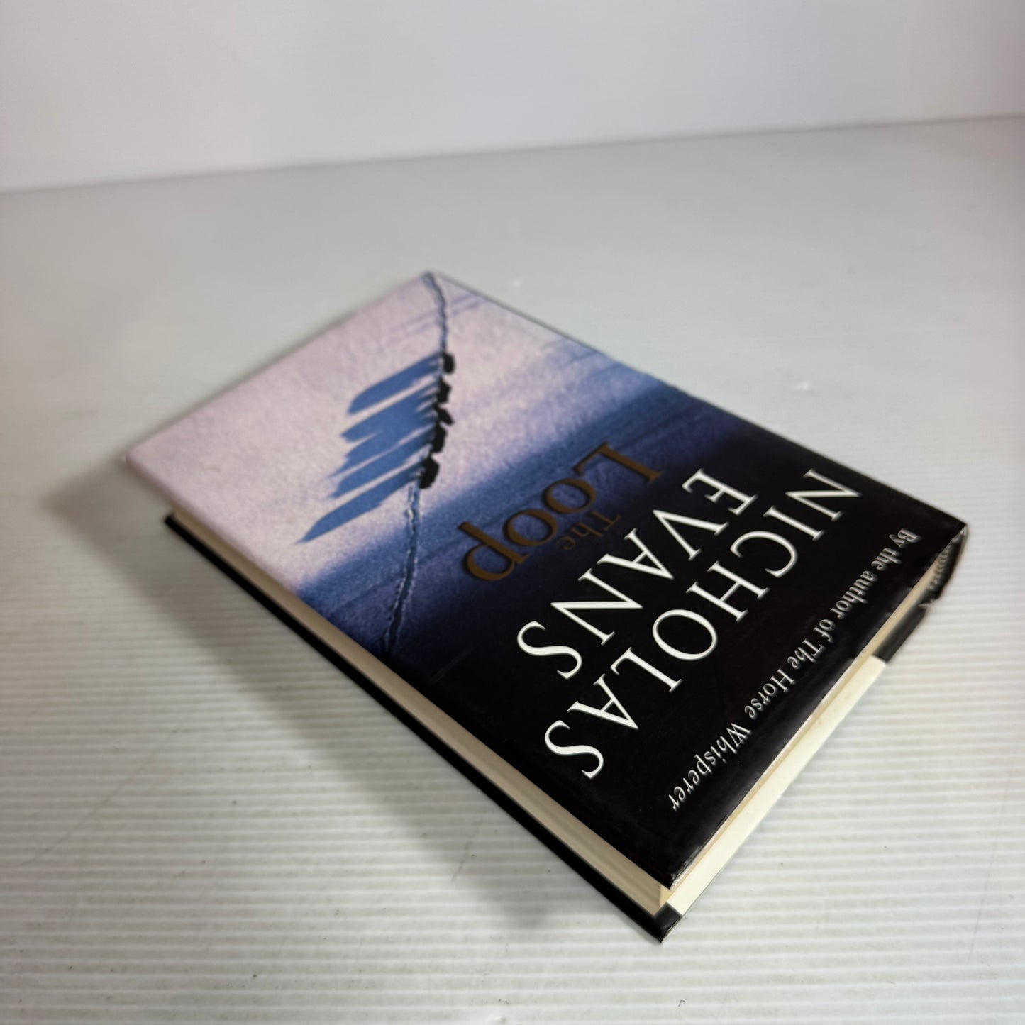 The Loop - Nicholas Evans